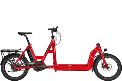 i:SY CARGO N3.8 ZR MAXI