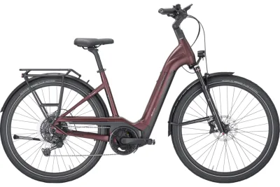 PEGASUS STRONG EVO 10 LITE (Modelljahr 2024)