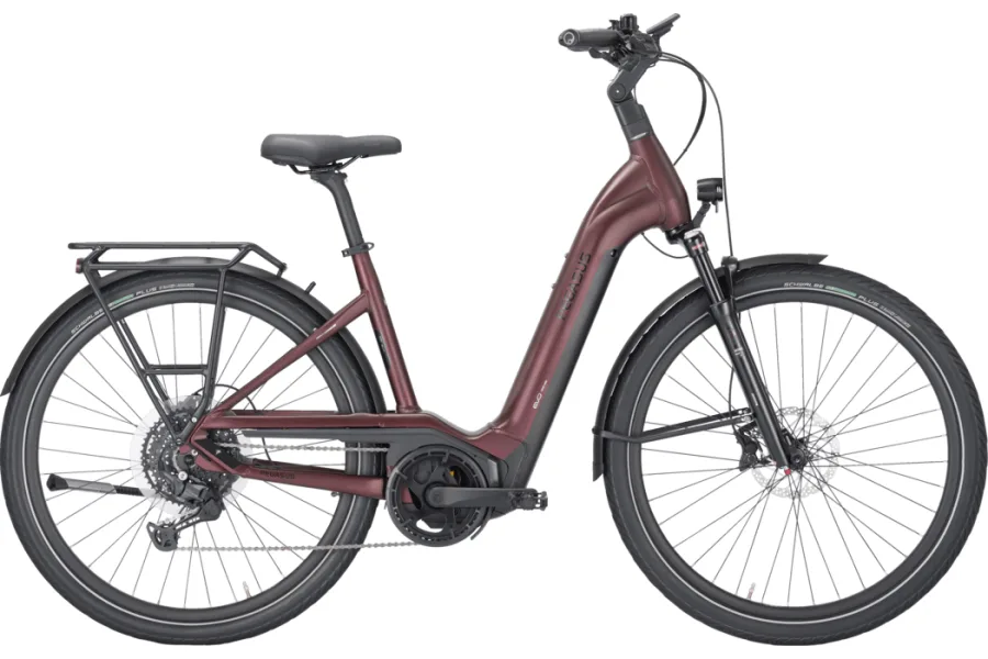 PEGASUS STRONG EVO 10 LITE (Modelljahr 2024)