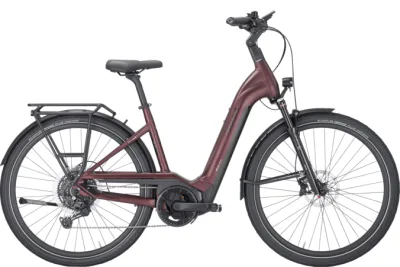 PEGASUS STRONG EVO 10 LITE (Modelljahr 2024)
