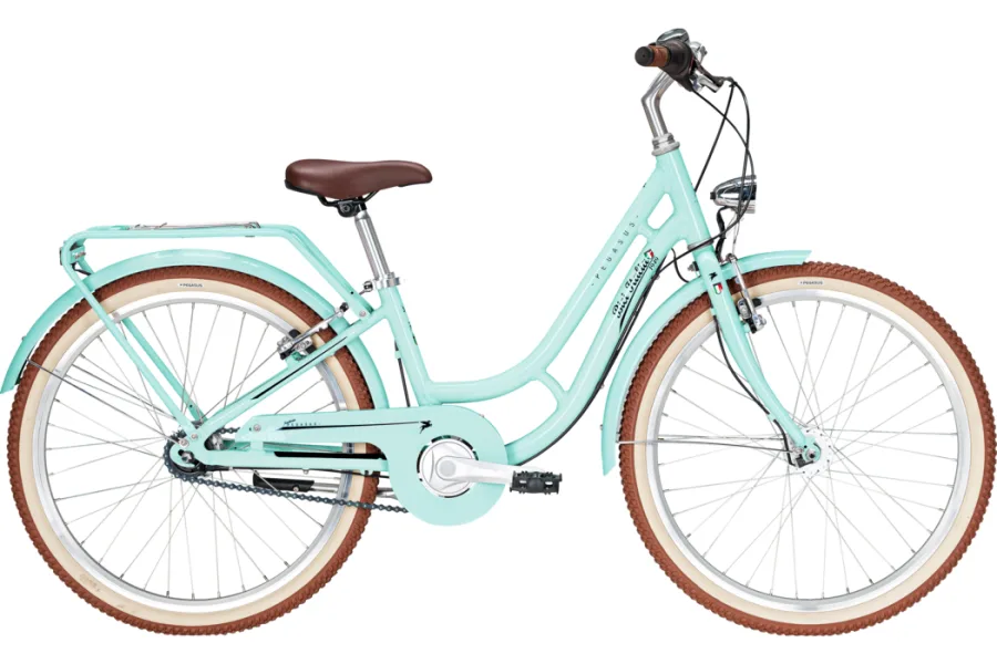 PEGASUS BICI ITALIA 7 24