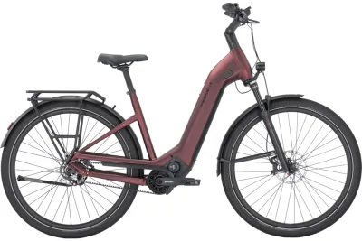PEGASUS ESTREMO EVO 12 Lite (Modelljahr 2025)