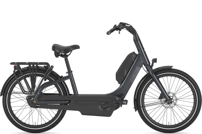 Gazelle Easyflow C8