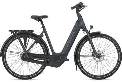 Gazelle Arroyo C8 Elite
