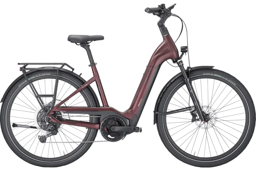 PEGASUS STRONG EVO 10 LITE